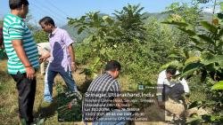 Swachhata Hi Seva 2025 